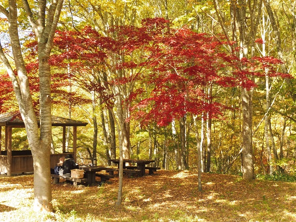 里山の暮らし 過去ログ14